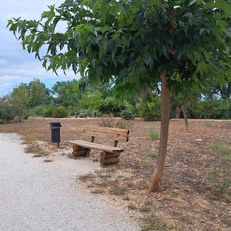 Studio Proche De Perpignan Peyrestortes エクステリア 写真