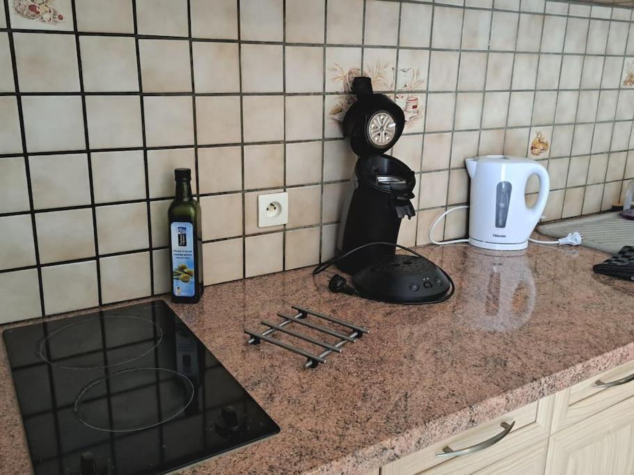Studio Proche De Perpignan Peyrestortes エクステリア 写真