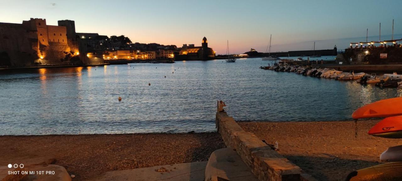 Studio Proche De Perpignan Peyrestortes エクステリア 写真