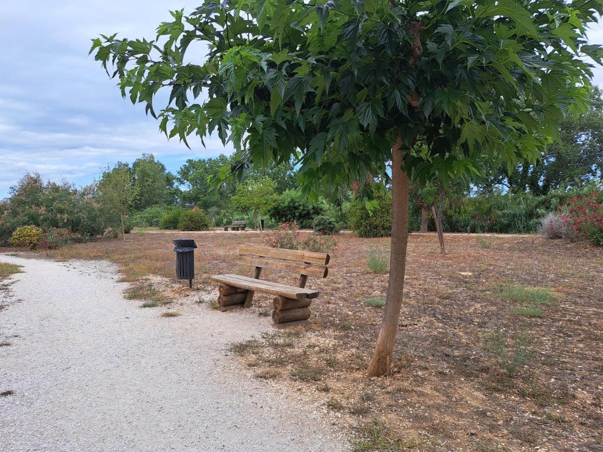 Studio Proche De Perpignan Peyrestortes エクステリア 写真